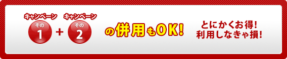 �L�����y�[���̕��p��OK!