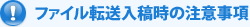 �t�@�C���]���T�[�r�X���e���̒��ӎ���