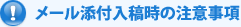 ���[���Y�t���e���̒��ӎ���